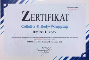 Berufszertifikat 11 — Universal Professional GmbH