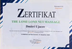 Berufszertifikat 1 — Universal Professional GmbH