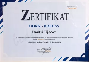 Berufszertifikat 2 — Universal Professional GmbH