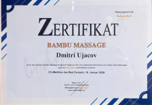 Berufszertifikat 4 — Universal Professional GmbH